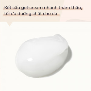 KimKul Face Night Cream 30G